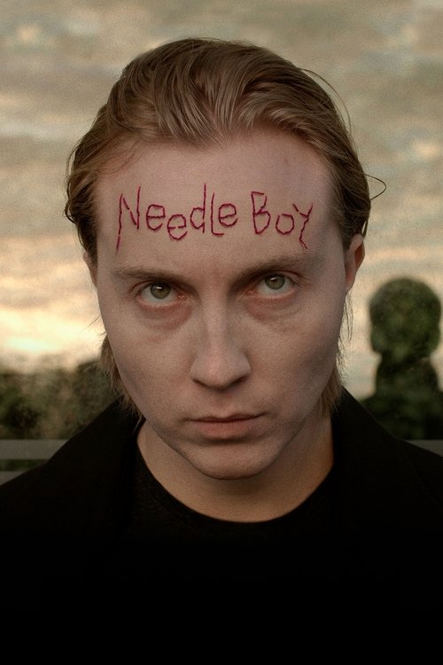 Needle Boy (2016) HDRip English - FlixBD