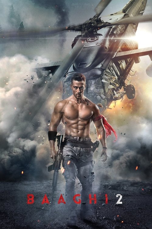 Baaghi 2 (2018) WEB-DL Hindi - FlixBD