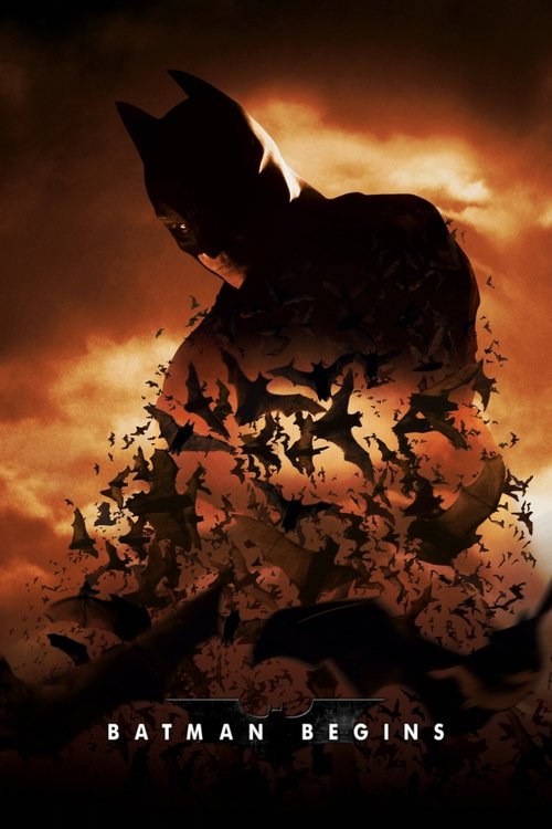 Batman Begins (2005) Hindi - FlixBD