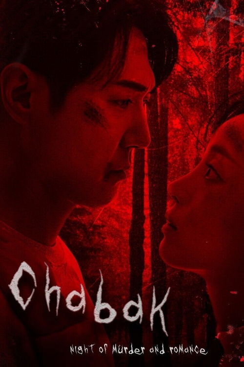 Chabak – Night of Murder and Romance (2023) WEB-DL Dual Audio [Hindi + Korean] - FlixBD