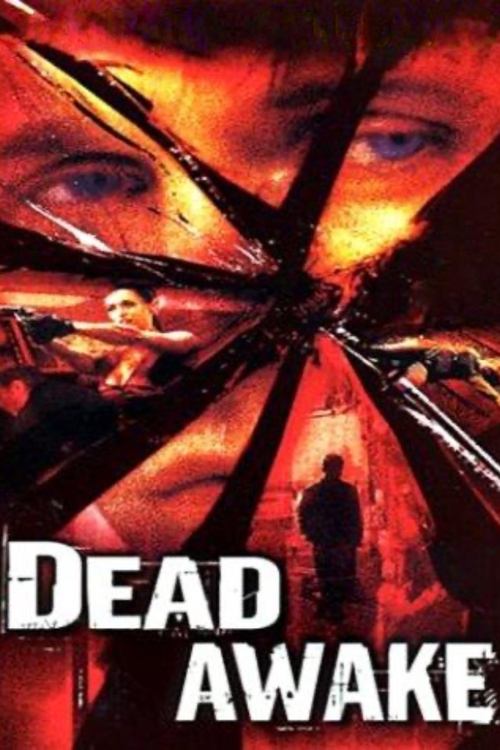 Dead Awake (2001) WEB-DL Hindi - FlixBD