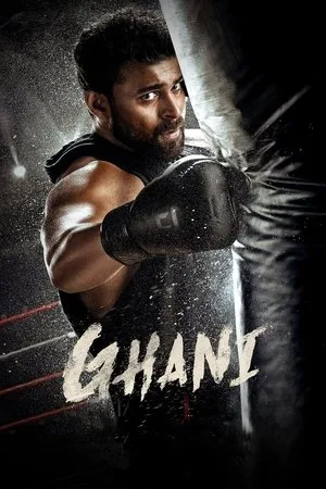 Ghani 2022 WEB-DL Hindi - FlixBD