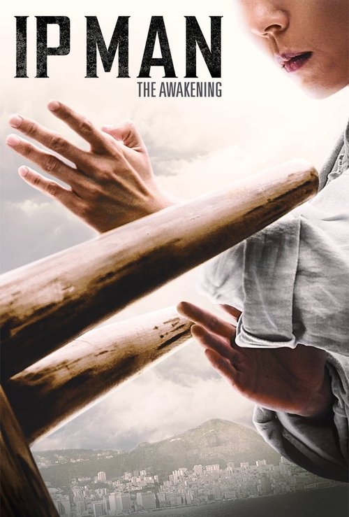 Ip Man: The Awakening (2021) WEB-DL Dual Audio - FlixBD