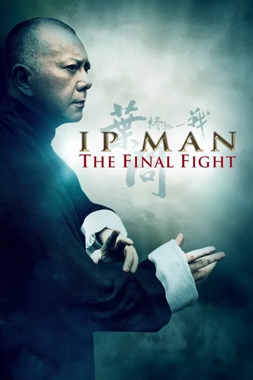 Ip Man: The Final Fight 2013 BluRay Chinese - FlixBD