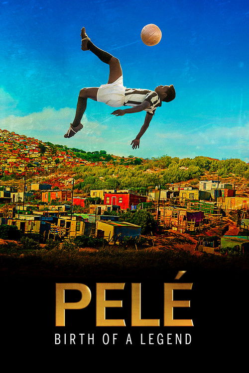 Pele: Birth of a Legend (2016) WEB-DL Dual Audio - FlixBD