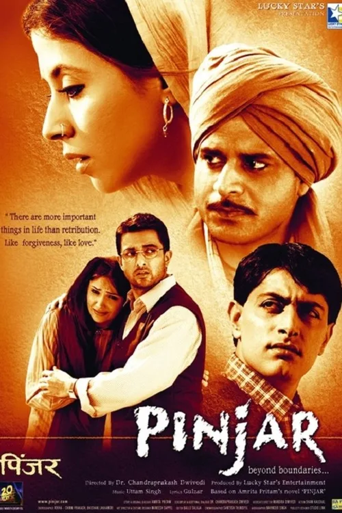 Pinjar 2003 WEB-DL Hindi - FlixBD