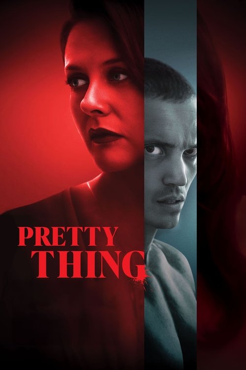 Pretty Thing (2025) WEB-DL Multi Audio - FlixBD