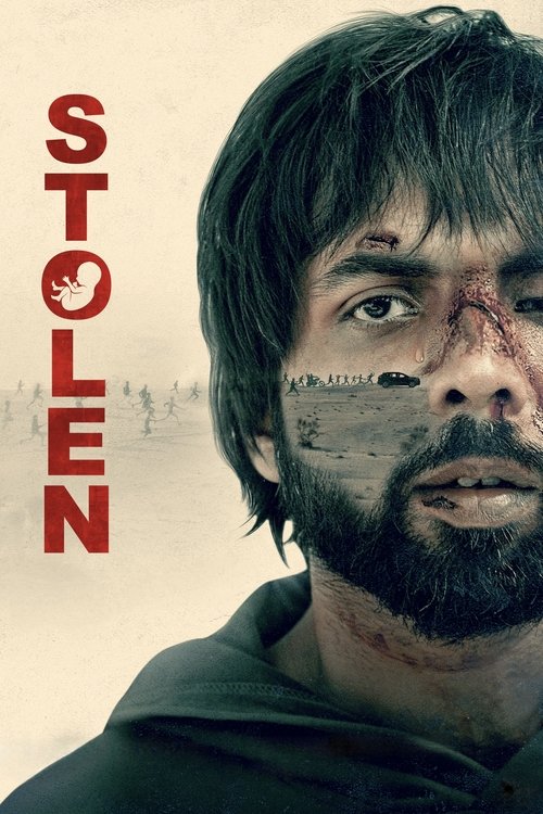 Stolen (2023) WEB-HDRip Hindi - FlixBD