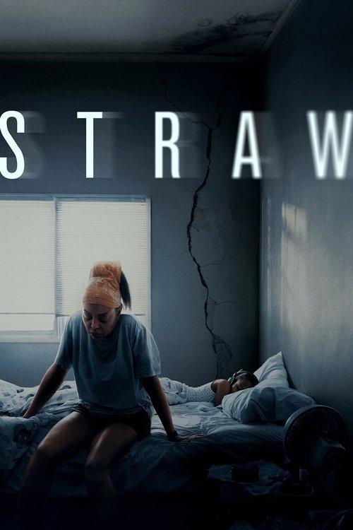 Straw (2025) WEB-DL Multi Audio [Hindi + English] - FlixBD