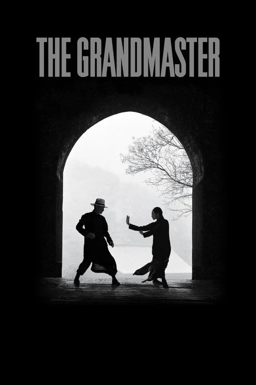 The Grandmaster 2013 BluRay Hindi - FlixBD