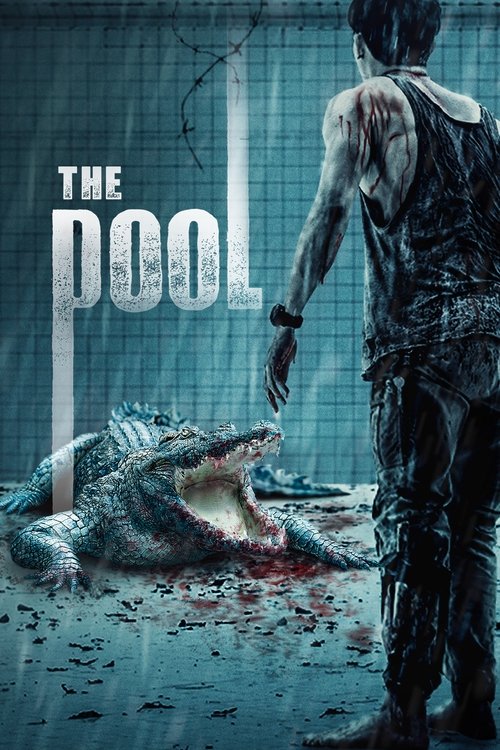 The Pool (2018) BluRay Dual Audio - FlixBD