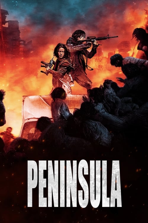 Train to Busan 2: Peninsula (2020) BluRay Dual Audio - FlixBD