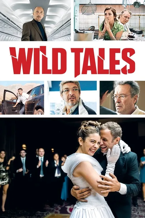 Wild Tales 2014 WEB-DL Spanish - FlixBD